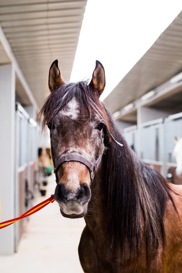 Comment établir une politique de télétravail équitable dans une entreprise internationale ?